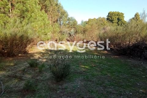 Helårsgrund i Castelo Branco, Castelo Branco, Castelo Branco - € 135.000 | Ref: CB93891MA - foto 28