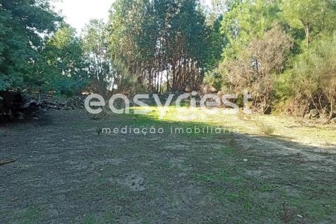 Helårsgrund i Castelo Branco, Castelo Branco, Castelo Branco - € 135.000 | Ref: CB93891MA - foto 29