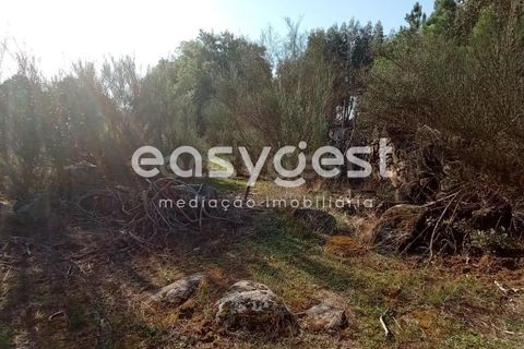 Helårsgrund i Castelo Branco, Castelo Branco, Castelo Branco - € 135.000 | Ref: CB93891MA - foto 30