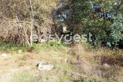 Helårsgrund i Castelo Branco, Castelo Branco, Castelo Branco - € 135.000 | Ref: CB93891MA - foto 31