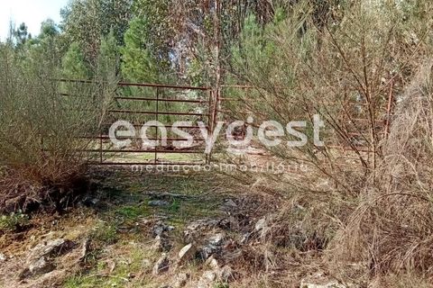 Helårsgrund i Castelo Branco, Castelo Branco, Castelo Branco - € 135.000 | Ref: CB93891MA - foto 32