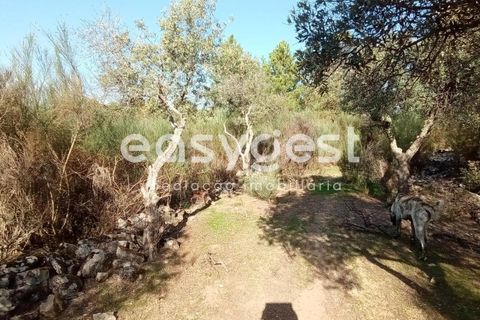 Helårsgrund i Castelo Branco, Castelo Branco, Castelo Branco - € 135.000 | Ref: CB93891MA - foto 34