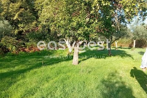 Helårsgrund i Castelo Branco, Castelo Branco, Castelo Branco - € 135.000 | Ref: CB93891MA - foto 36