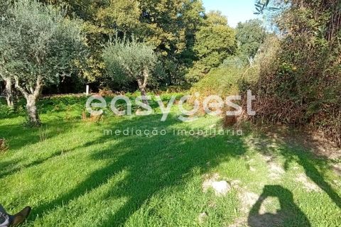 Helårsgrund i Castelo Branco, Castelo Branco, Castelo Branco - € 135.000 | Ref: CB93891MA - foto 37