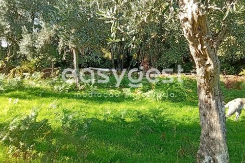 Helårsgrund i Castelo Branco, Castelo Branco, Castelo Branco - € 135.000 | Ref: CB93891MA - foto 38