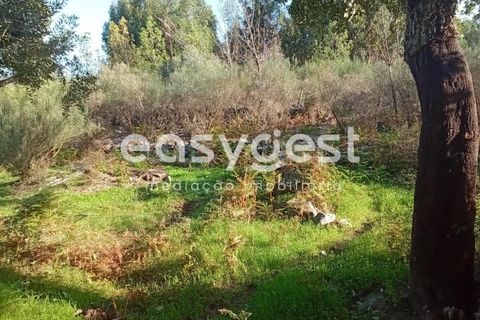 Helårsgrund i Castelo Branco, Castelo Branco, Castelo Branco - € 135.000 | Ref: CB93891MA - foto 39