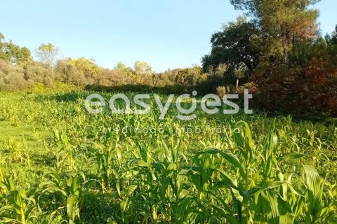 Helårsgrund i Castelo Branco, Castelo Branco, Castelo Branco - € 135.000 | Ref: CB93891MA - foto 40