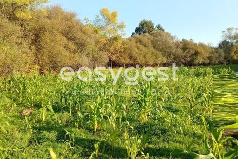 Helårsgrund i Castelo Branco, Castelo Branco, Castelo Branco - € 135.000 | Ref: CB93891MA - foto 42