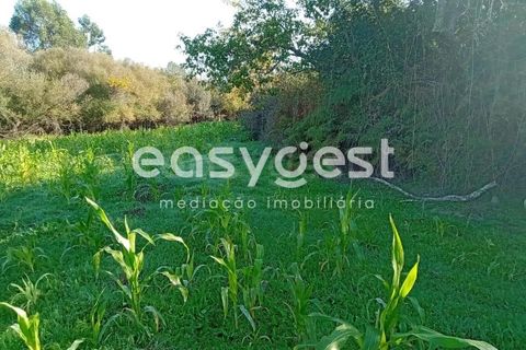 Helårsgrund i Castelo Branco, Castelo Branco, Castelo Branco - € 135.000 | Ref: CB93891MA - foto 43