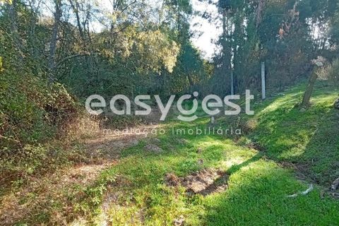 Helårsgrund i Castelo Branco, Castelo Branco, Castelo Branco - € 135.000 | Ref: CB93891MA - foto 44