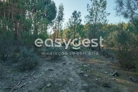 Helårsgrund i Castelo Branco, Castelo Branco, Castelo Branco - € 135.000 | Ref: CB93891MA - foto 45
