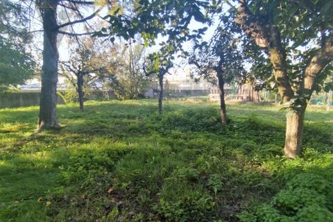 Terra a Monselice, Padua, Monselice - € 749.000 | Ref: CMON608 - foto 4
