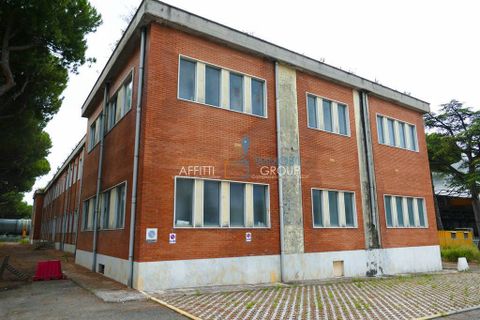 Erhvervsejendom i Massa, Massa and Carrara, Massa - € 3.000.000 | Ref: 1511 - foto 3