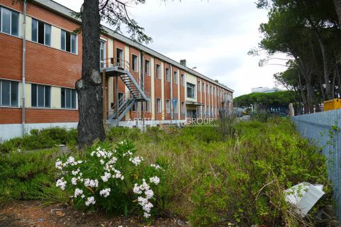 Erhvervsejendom i Massa, Massa and Carrara, Massa - € 3.000.000 | Ref: 1511 - foto 4
