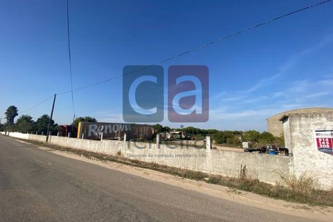 Helårsgrund i Alpiarca, Santarem, Alpiarca - € 750.000 | Ref: TERR4092 - foto 2
