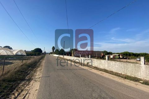 Helårsgrund i Alpiarca, Santarem, Alpiarca - € 750.000 | Ref: TERR4092 - foto 3