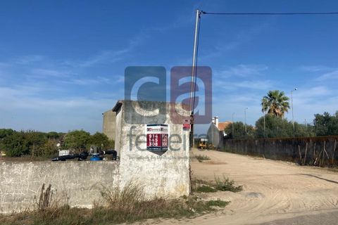Helårsgrund i Alpiarca, Santarem, Alpiarca - € 750.000 | Ref: TERR4092 - foto 4
