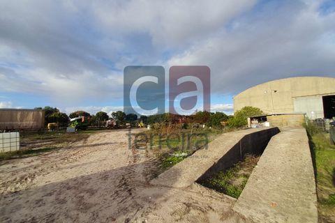 Helårsgrund i Alpiarca, Santarem, Alpiarca - € 750.000 | Ref: TERR4092 - foto 6