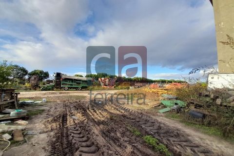 Helårsgrund i Alpiarca, Santarem, Alpiarca - € 750.000 | Ref: TERR4092 - foto 10