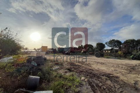 Helårsgrund i Alpiarca, Santarem, Alpiarca - € 750.000 | Ref: TERR4092 - foto 11