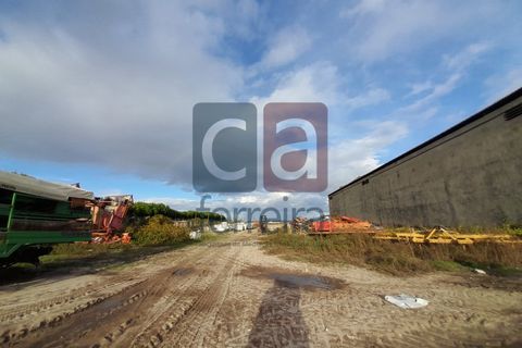 Helårsgrund i Alpiarca, Santarem, Alpiarca - € 750.000 | Ref: TERR4092 - foto 12