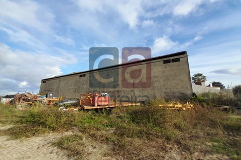 Helårsgrund i Alpiarca, Santarem, Alpiarca - € 750.000 | Ref: TERR4092 - foto 13