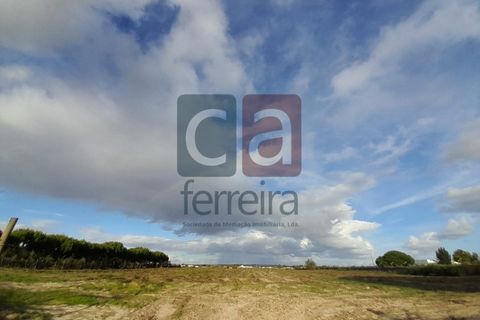Helårsgrund i Alpiarca, Santarem, Alpiarca - € 750.000 | Ref: TERR4092 - foto 14