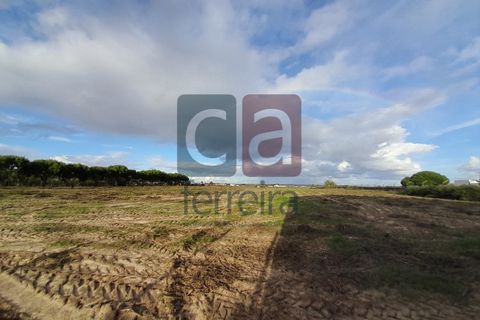 Helårsgrund i Alpiarca, Santarem, Alpiarca - € 750.000 | Ref: TERR4092 - foto 15