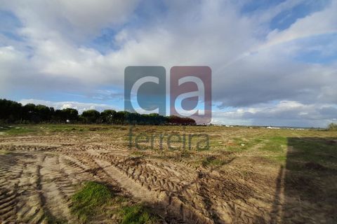Helårsgrund i Alpiarca, Santarem, Alpiarca - € 750.000 | Ref: TERR4092 - foto 16