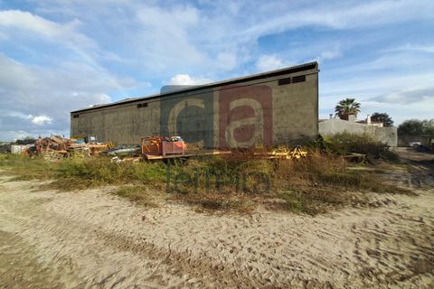 Helårsgrund i Alpiarca, Santarem, Alpiarca - € 750.000 | Ref: TERR4092 - foto 18