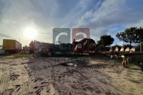 Helårsgrund i Alpiarca, Santarem, Alpiarca - € 750.000 | Ref: TERR4092 - foto 19