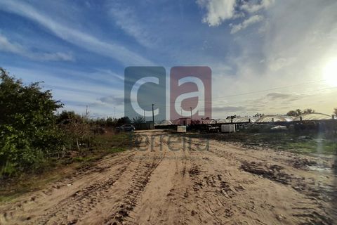 Helårsgrund i Alpiarca, Santarem, Alpiarca - € 750.000 | Ref: TERR4092 - foto 21