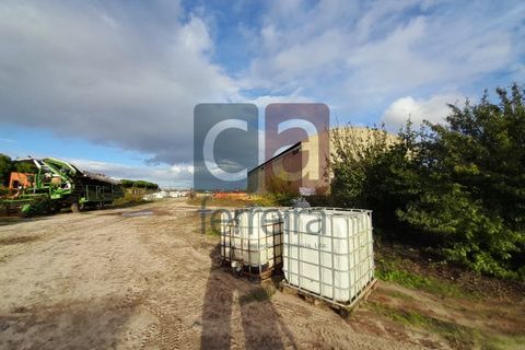 Helårsgrund i Alpiarca, Santarem, Alpiarca - € 750.000 | Ref: TERR4092 - foto 22