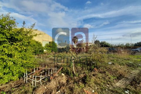Helårsgrund i Alpiarca, Santarem, Alpiarca - € 750.000 | Ref: TERR4092 - foto 23