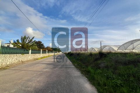 Helårsgrund i Alpiarca, Santarem, Alpiarca - € 750.000 | Ref: TERR4092 - foto 25