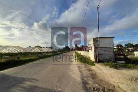 Helårsgrund i Alpiarca, Santarem, Alpiarca - € 750.000 | Ref: TERR4092 - foto 26