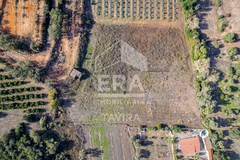Ruinere i Moncarapacho, Faro, Moncarapacho - € 250.000 | Ref: 125230114 - foto 2