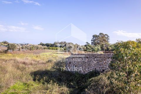 Ruinere i Moncarapacho, Faro, Moncarapacho - € 250.000 | Ref: 125230114 - foto 5