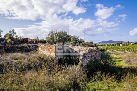 Ruinere i Moncarapacho, Faro, Moncarapacho - € 250.000 | Ref: 125230114 - foto 7