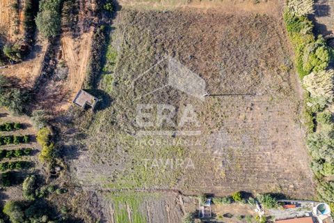 Ruinere i Moncarapacho, Faro, Moncarapacho - € 250.000 | Ref: 125230114 - foto 8