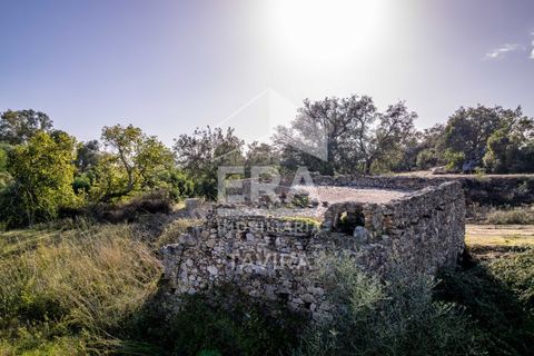 Ruinere i Moncarapacho, Faro, Moncarapacho - € 250.000 | Ref: 125230114 - foto 10