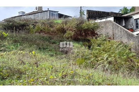 Terra a Vila Mea, Porto, Vila Mea - € 57.500 | Ref: MC09590 - foto 5