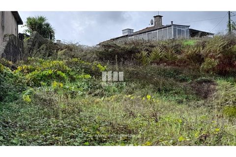 Terra a Vila Mea, Porto, Vila Mea - € 57.500 | Ref: MC09590 - foto 13