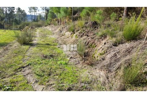 Terra a Amarante, Porto, Amarante - € 47.500 | Ref: MC09595 - foto 2