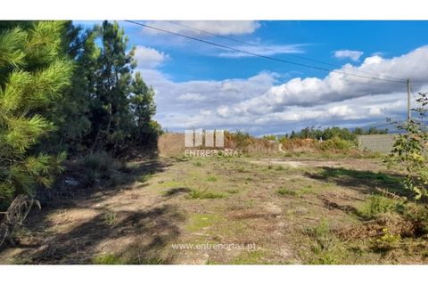 Terra a Amarante, Porto, Amarante - € 47.500 | Ref: MC09595 - foto 3