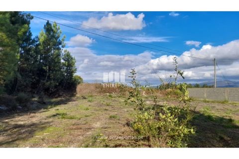 Terra a Amarante, Porto, Amarante - € 47.500 | Ref: MC09595 - foto 4
