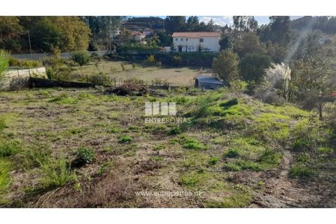 Terra a Amarante, Porto, Amarante - € 47.500 | Ref: MC09595 - foto 5