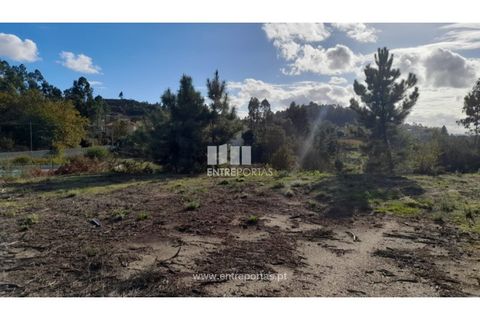 Terra a Amarante, Porto, Amarante - € 47.500 | Ref: MC09595 - foto 6