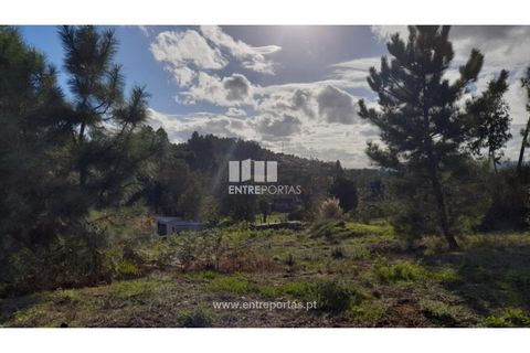 Terra a Amarante, Porto, Amarante - € 47.500 | Ref: MC09595 - foto 7