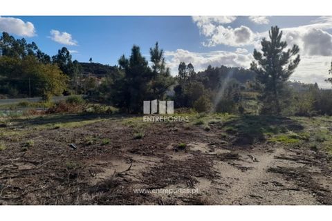 Terra a Amarante, Porto, Amarante - € 47.500 | Ref: MC09595 - foto 8